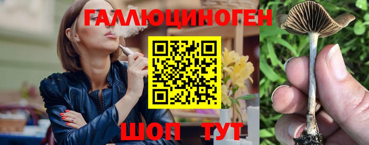 Чита  Галлюциногенные грибы GOLDEN TEACHER  Вход с VPN 